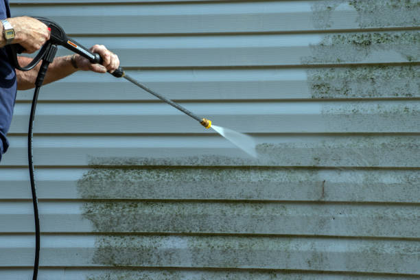 Professional Pressure Washing in West Orange, TX